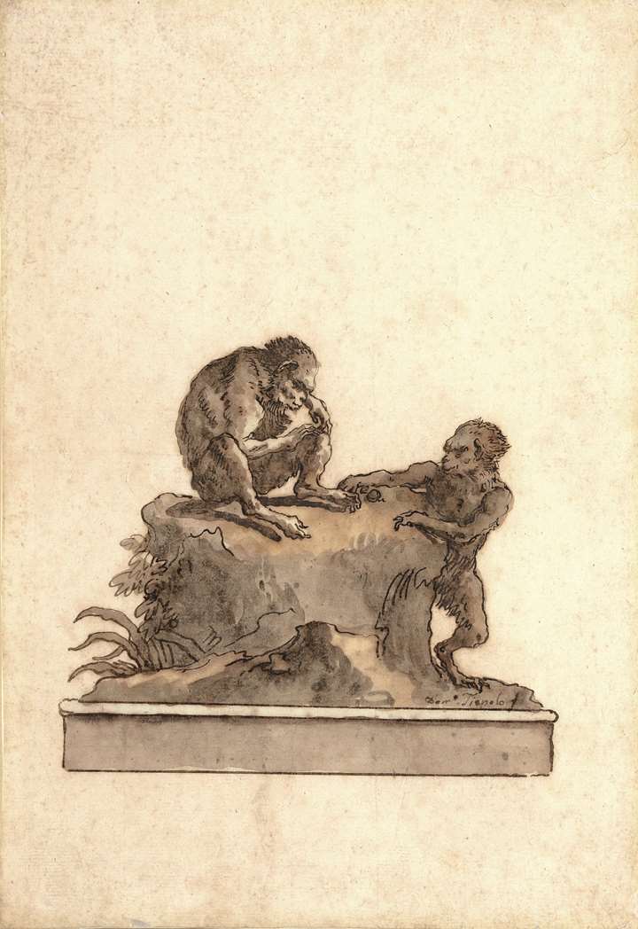Two Monkeys on a Rock